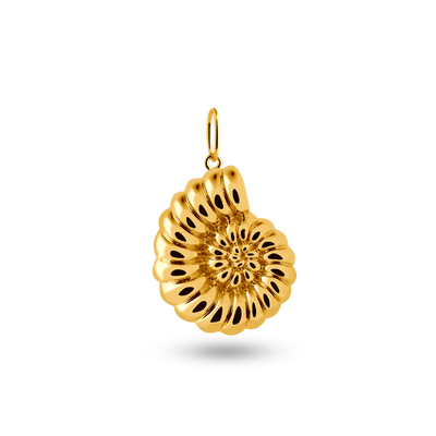 AURA CHARM