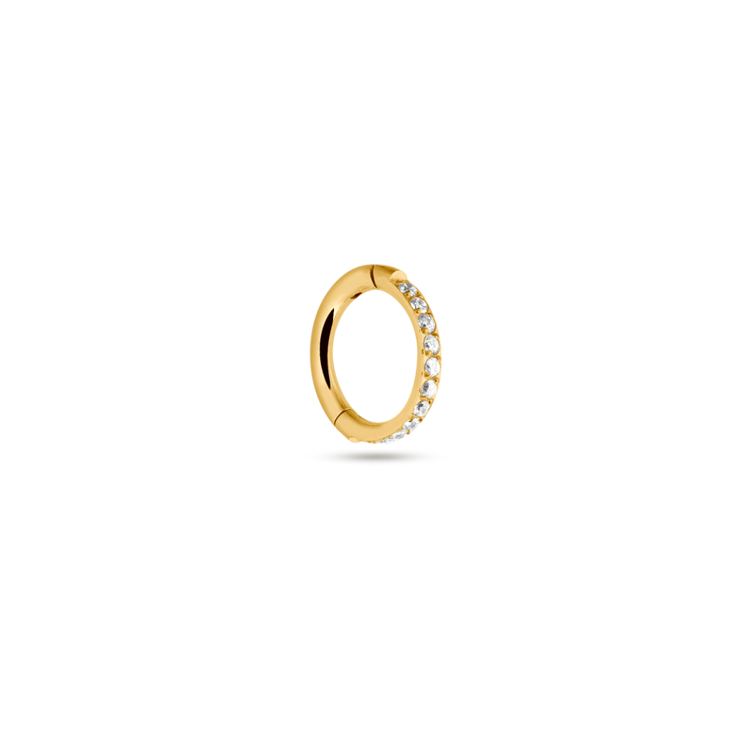 SHINY PIERCING HOOP - 6mm SHINY PIERCING HOOP - 6mm