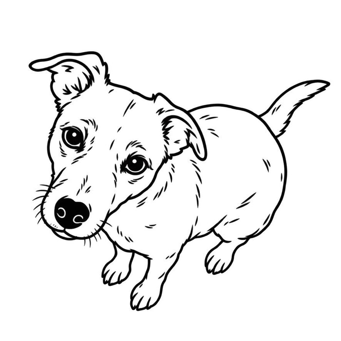 Fine-Line nachher