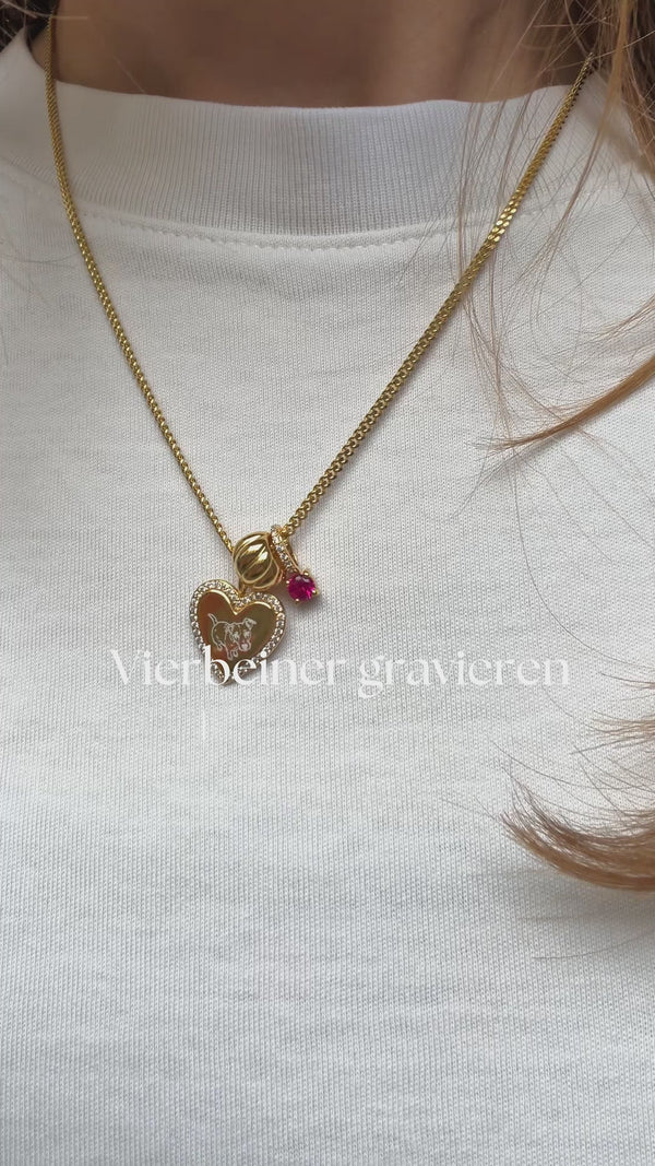 So gravierst du dein Haustier