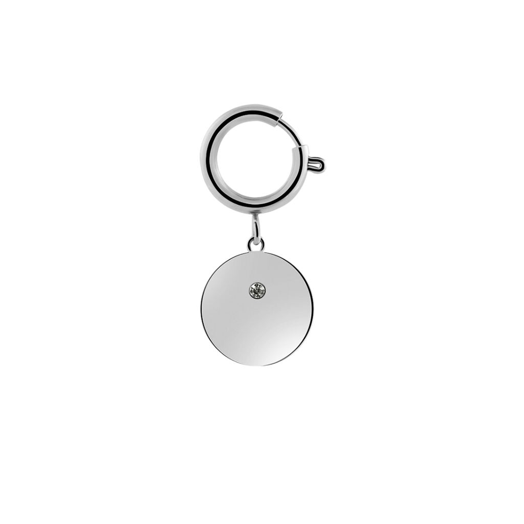SHINY FAFE COIN SMALL SILBER