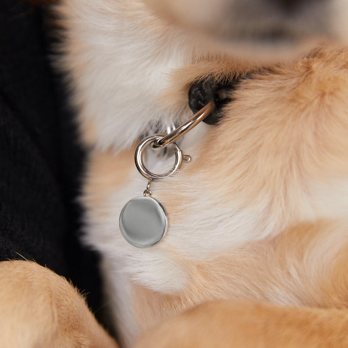 Fafe Collection Hundecoin Silber Petcoin