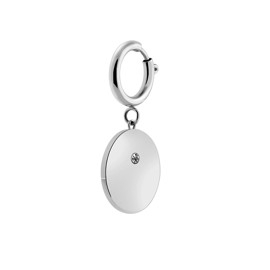 Fafe Collection Shiny Pet Coin Big