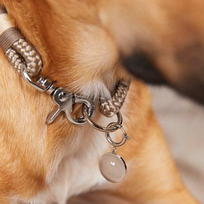 Pet Coin Fafe Collection Silber